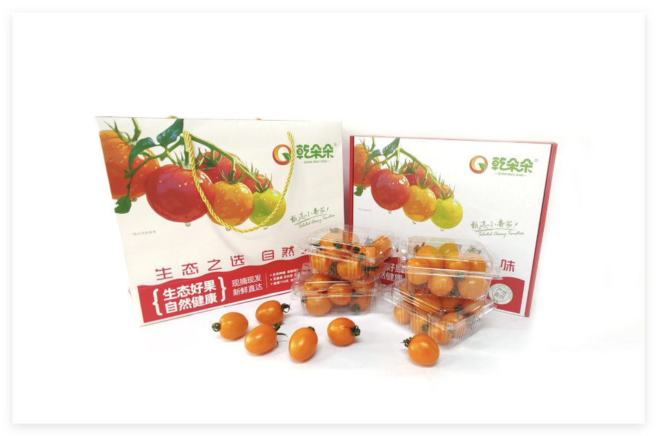 乾朵朵沐橙珠小番茄